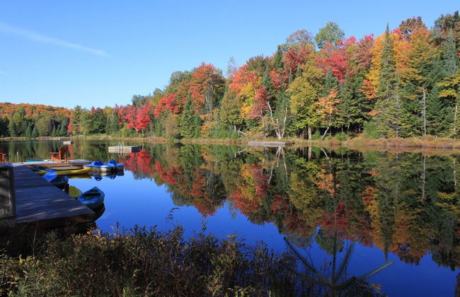 Blueberry Lake Resort - Foto 46