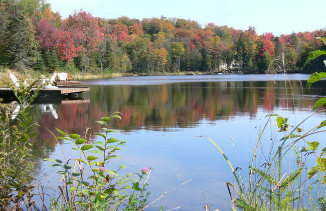 Blueberry Lake Resort - Foto 35