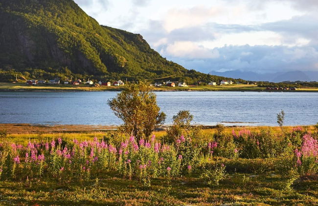 Holiday Home in Laukvik - Foto 24