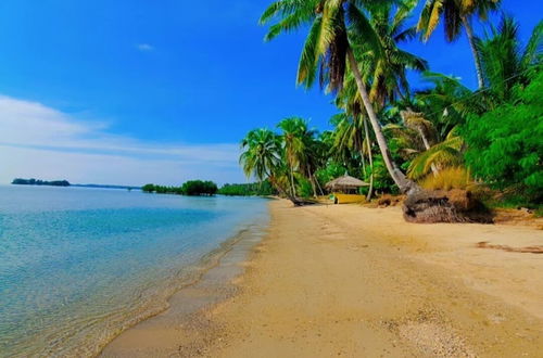 Photo 64 - Chilly Beach Resort Palawan