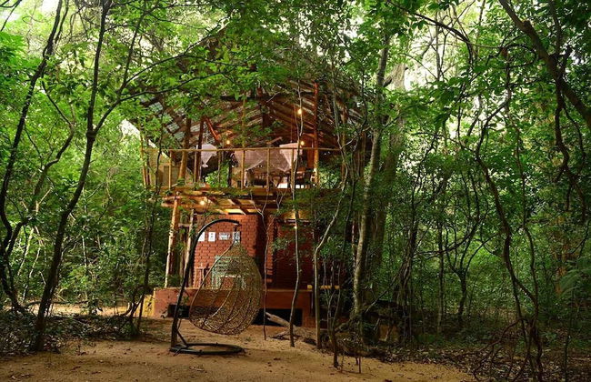 Back of Beyond - Pidurangala - Foto 27