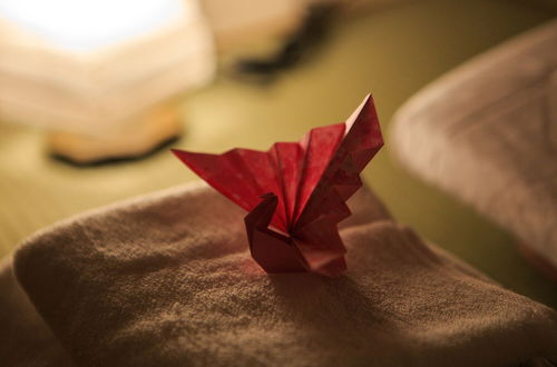 Photo 12 - ORIGAMI STAY -Taishocho-