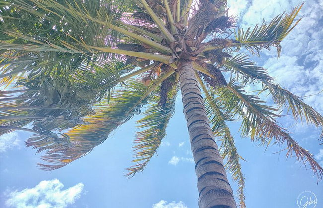 Grand Bay Suites - Photo 31