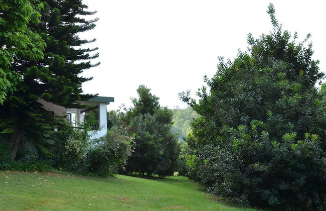 Highgrove House - Foto 32