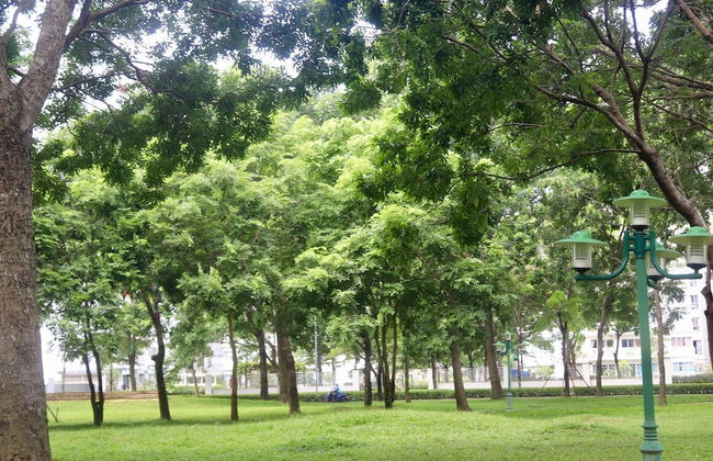 Spacious and Modern Service Apartment in Hochiminh - Foto 19