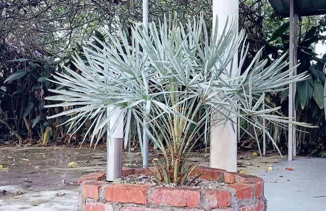 Villa 223 - Foto 26