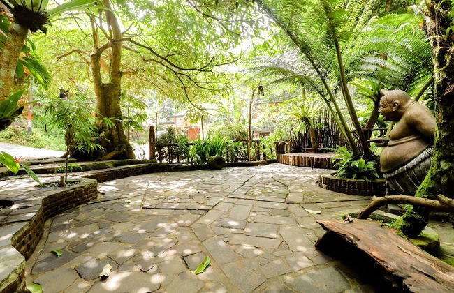 Rimbono Homestay - Foto 18
