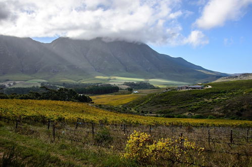 Photo 1 - Clouds End Farm