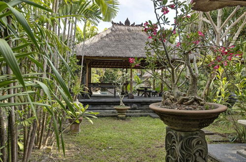 Photo 23 - Villa Hibiscus