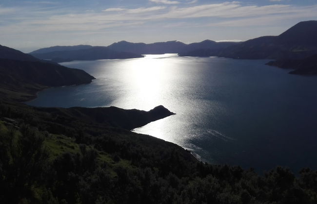 The Lodge At Te Rawa - Boat Access Only - Foto 50
