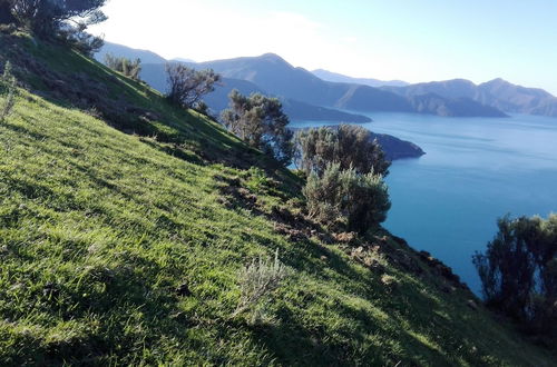 Photo 43 - The Lodge At Te Rawa - Boat Access Only