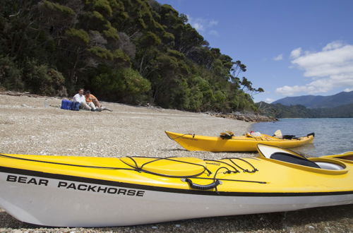 Photo 24 - The Lodge At Te Rawa - Boat Access Only