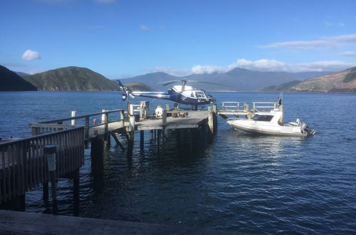 Photo 40 - The Lodge At Te Rawa - Boat Access Only