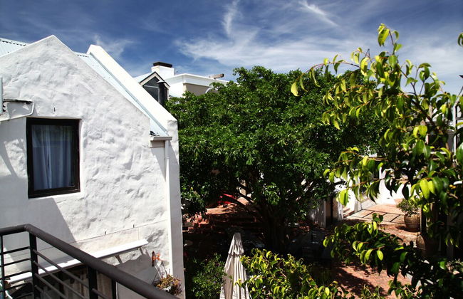 Los Olivos at The Yard - Foto 19
