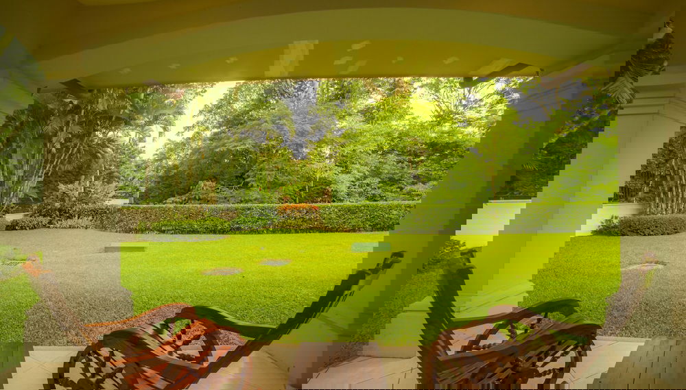 Imagem principal