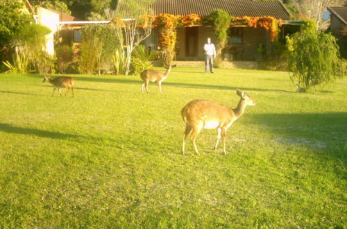 Photo 27 - Brenton Park Holiday Cottages