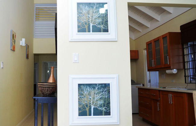 Ocho Rios Villas at Coolshade II - Foto 35