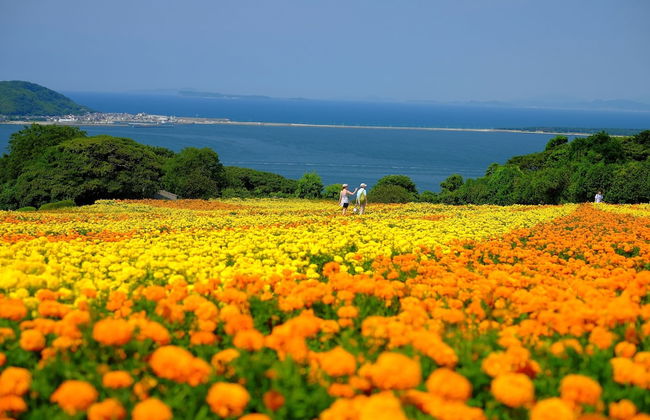Yagura Hostel - Foto 46
