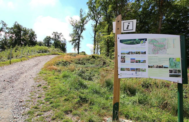 Sauna Retreat in Herbeumont - Foto 24