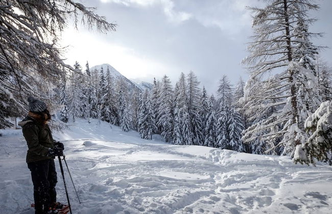 Chalet in Rhone Valley Near Ski Lift - Foto 35