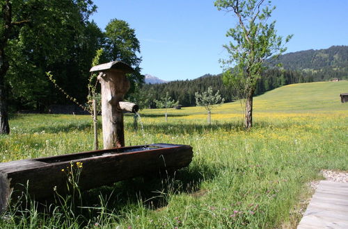 Photo 24 - Farmhouse in Hopfgarten in Brixental With Garden