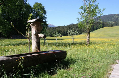 Photo 25 - Farmhouse in Hopfgarten in Brixental With Garden