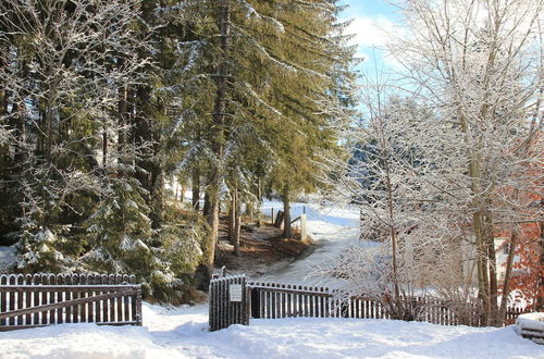 Photo 27 - Chalet in Mariapfarr Near ski Area