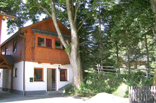 Photo 30 - Chalet in Mariapfarr Near ski Area