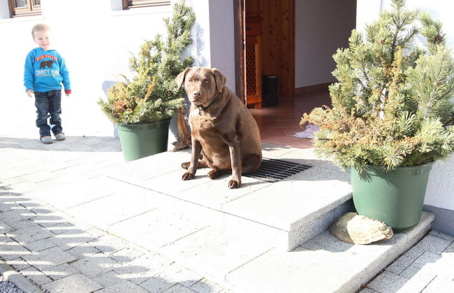 Lush Holiday Home in Hüttau near Ski Area - Foto 10