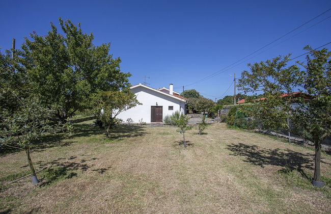 Liiiving in Viana - Afife Country House - Foto 47