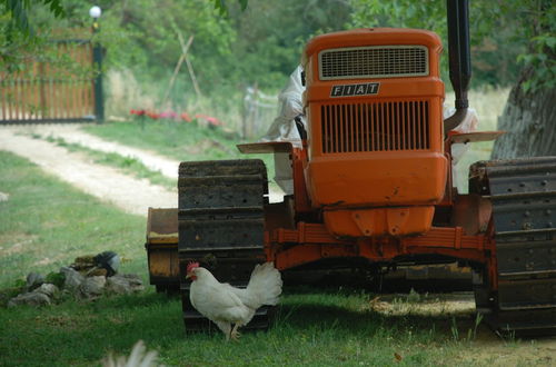 Foto 20 - Silence and Relaxation for Families and Couples in the Countryside of Umbria