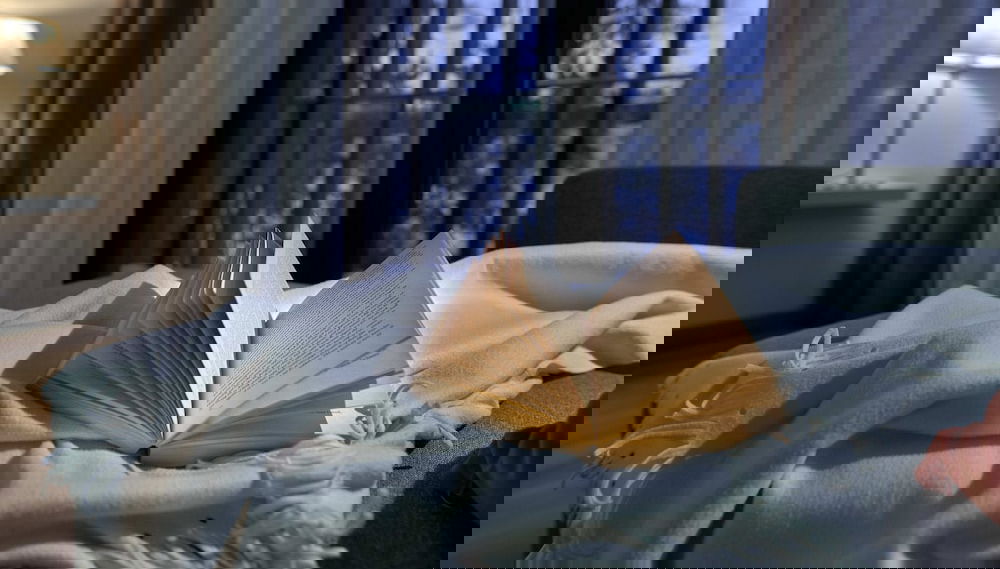 Imagem principal