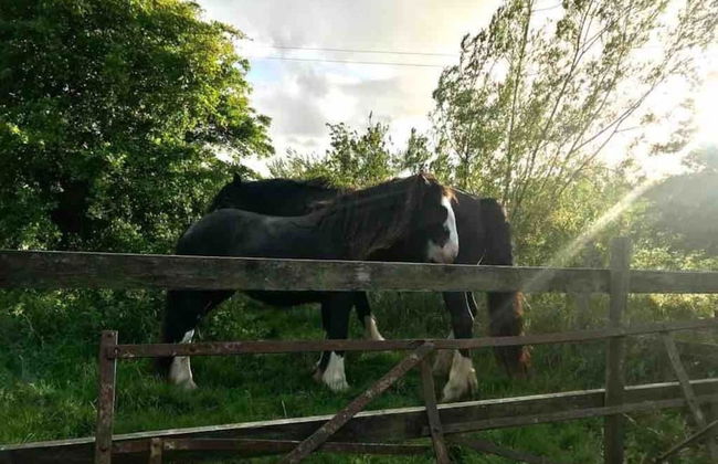 Unique Fairytale Farmhouse Near Galway - Foto 75
