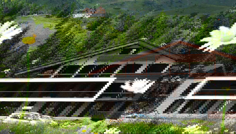 Primary image