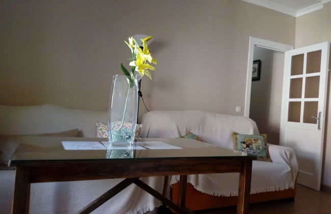 Apartamentos Virgen de Villaverde - Foto 61