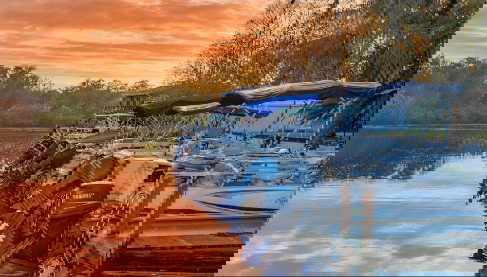 Imagem principal