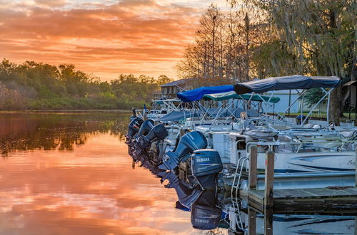 Foto 1 - Camp Mack, a Guy Harvey Lodge, Marina & RV Resort