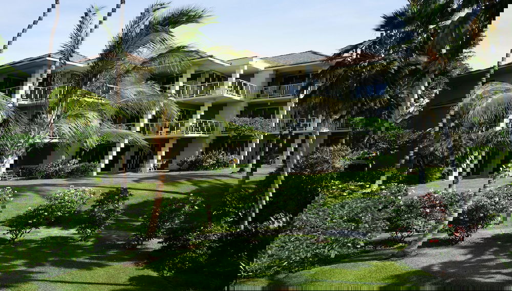 Image principale
