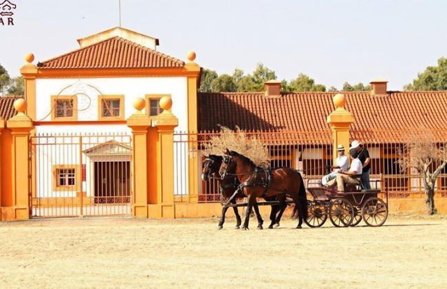Dom Dinis Marvão - Foto 62