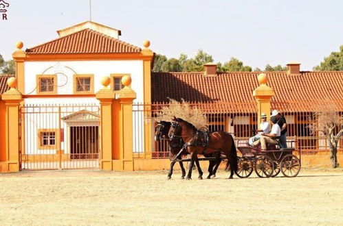 Foto 62 - Dom Dinis Marvão