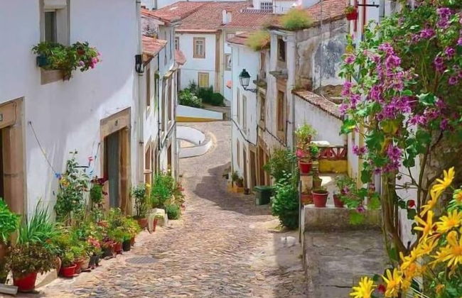 Dom Dinis Marvão - Foto 60