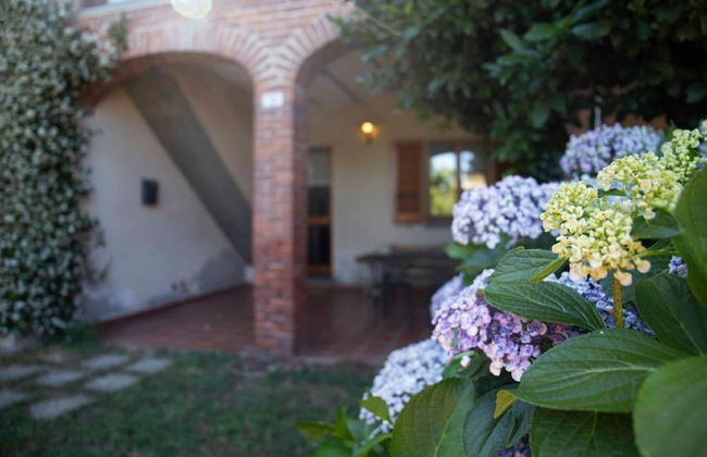 Le Ortensie - Foto 51