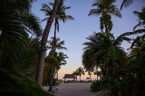 Foto 15 - The Caribbean Resort Fish Tail Palm