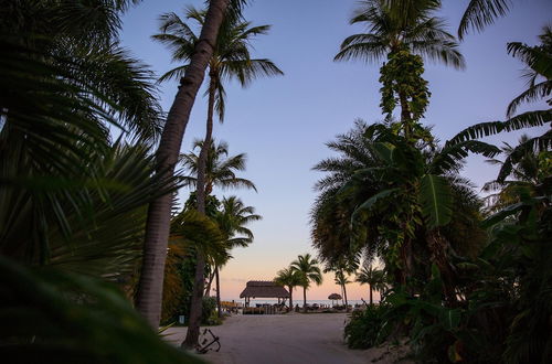 Photo 16 - The Caribbean Resort Malayan Palm North