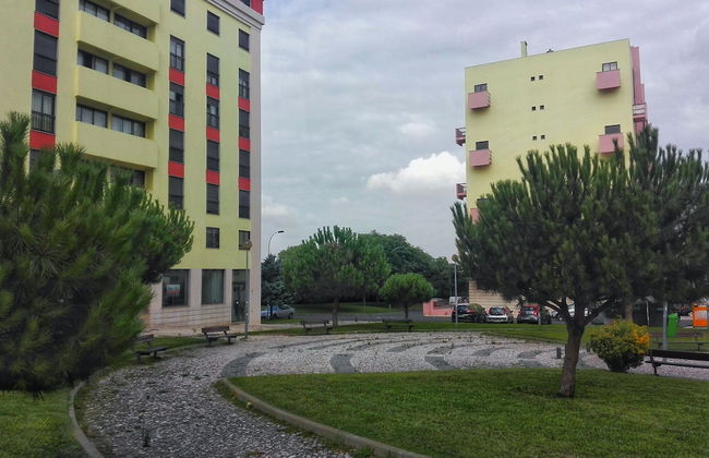 Chapin - Foto 11