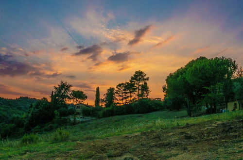 Photo 40 - Holiday Home Near Sienna in the Hills, Swimming Pool and Garden