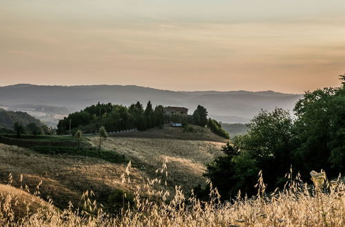 Photo 39 - Holiday Home Near Sienna in the Hills, Swimming Pool and Garden