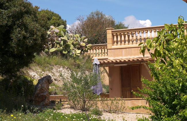 Agroturisme Es Picot - Foto 25