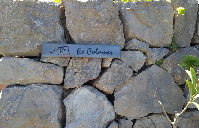 Agroturisme Es Picot - Foto 23
