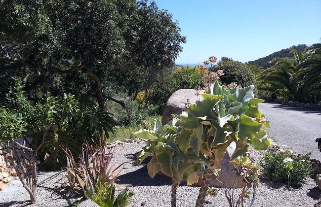 Agroturisme Es Picot - Foto 70